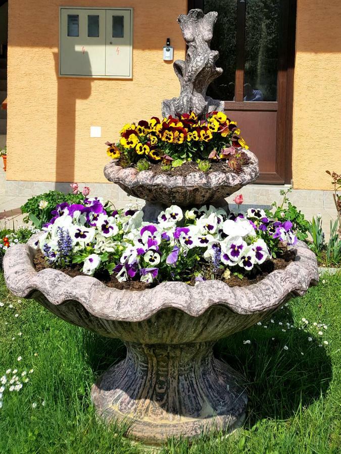 Guesthouse Ana&Ljubo Растовача Екстер'єр фото